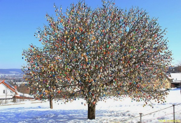 «Пасхальное дерево» из 10 000 яиц