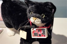 Sony разрабатывает гаджет для кошек блогеров