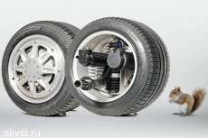 Белка в колесе: Мотор-колесо Michelin