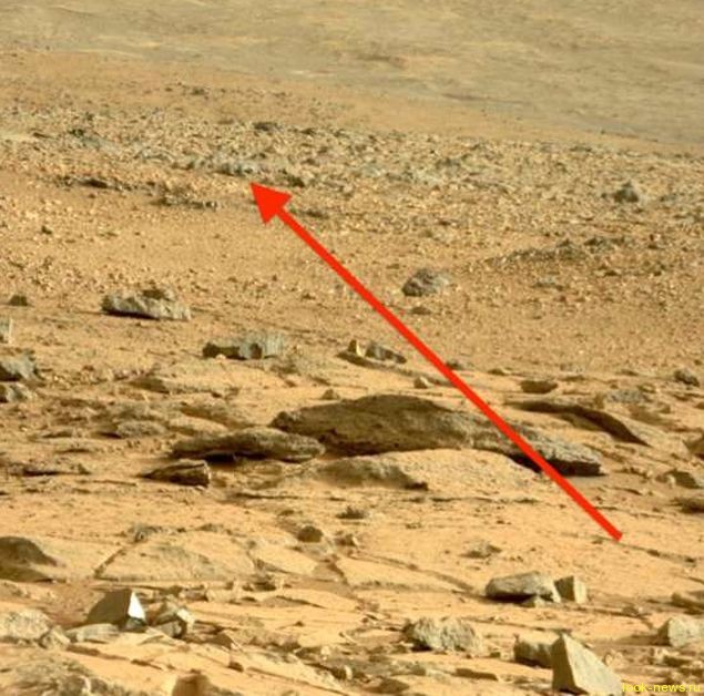 На Марсе обнаружилась ящерица