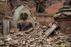 Звезды призывают помочь жертвам землетрясения в Непале