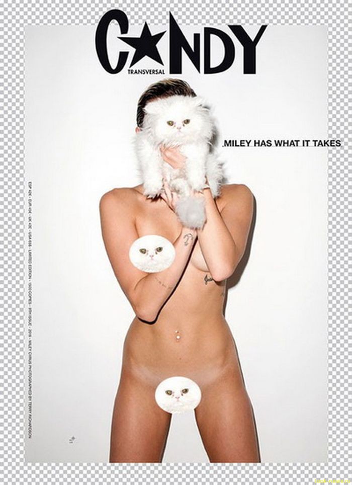 Певица Майли Сайрус снялась обнаженной для обложки журнала